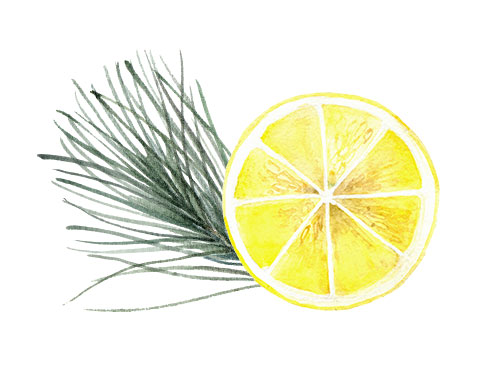 Limonene-Pinene-ingredients